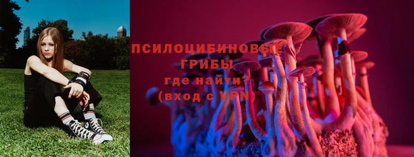 Альфа ПВП Арсеньев