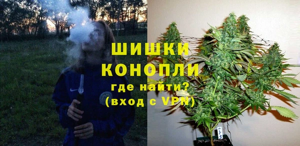 Альфа ПВП Арсеньев
